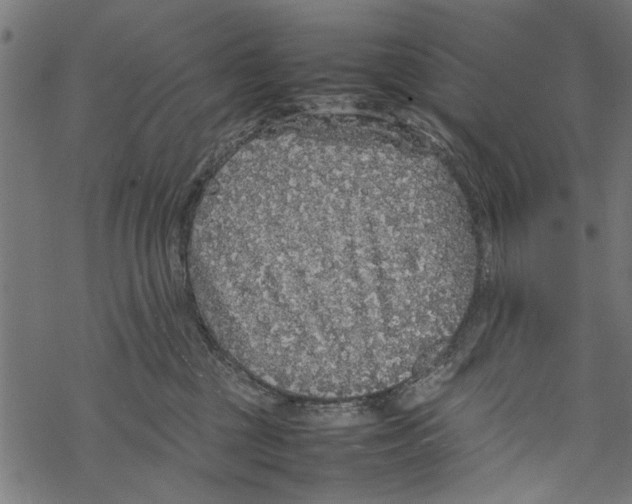 X0000067910377200605041649