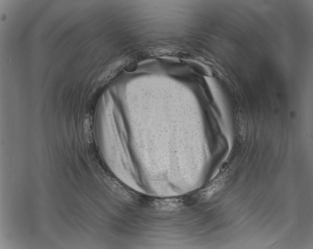 X0000067910378200605041649