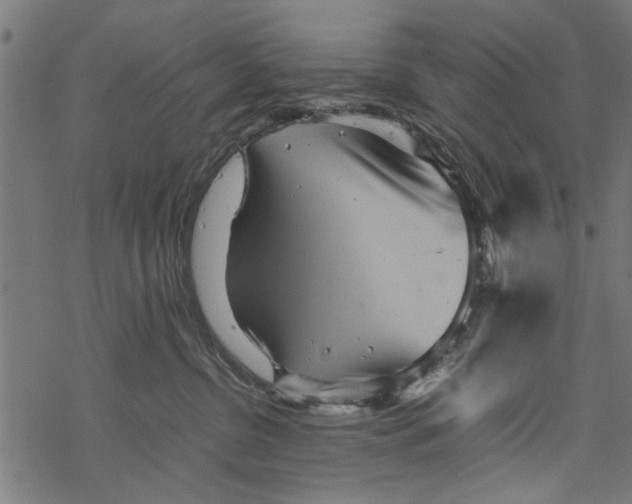 X0000067910380200605041649