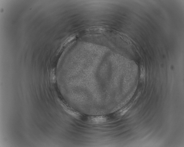 X0000067910383200605041650