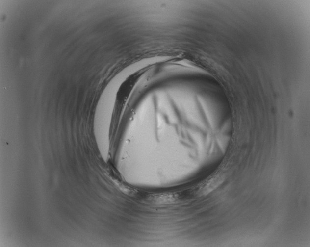 X0000067910384200605041650