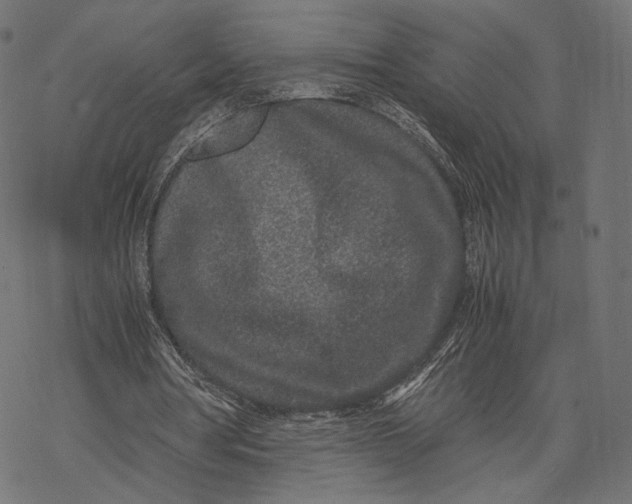 X0000067910386200605041649