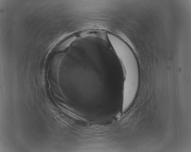 X0000067910387200605041649