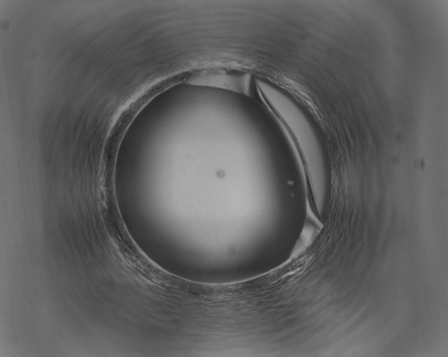 X0000067910388200605041649