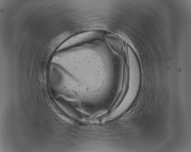 X0000067910389200605041649