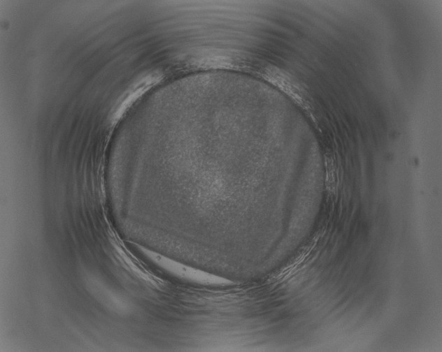 X0000067910390200605041649