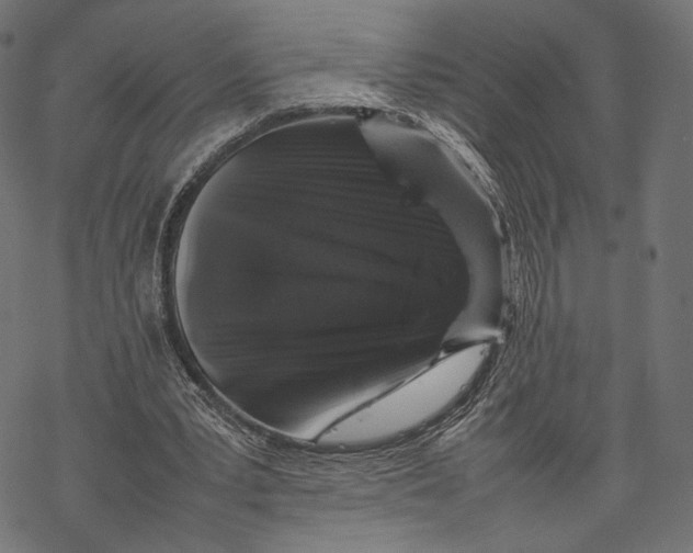 X0000067910391200605041649