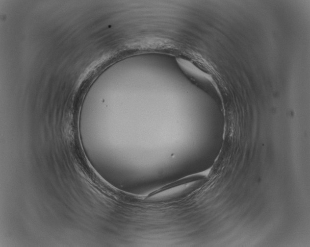 X0000067910392200605041649