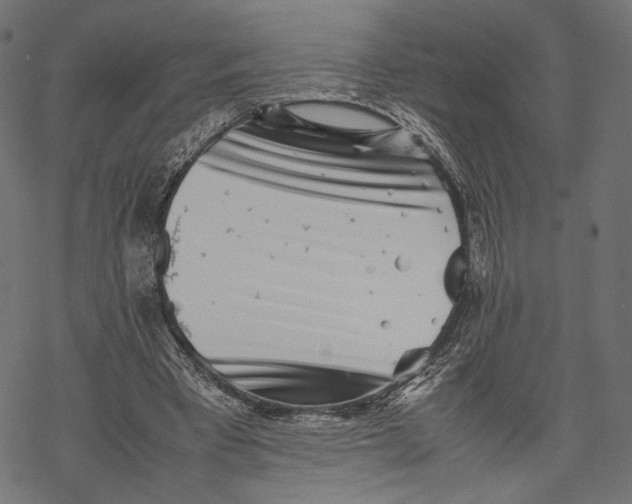 X0000067910393200605041649