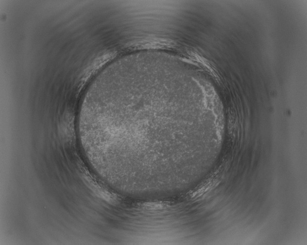 X0000067910394200605041649