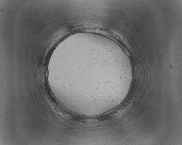 X0000067910395200605041649