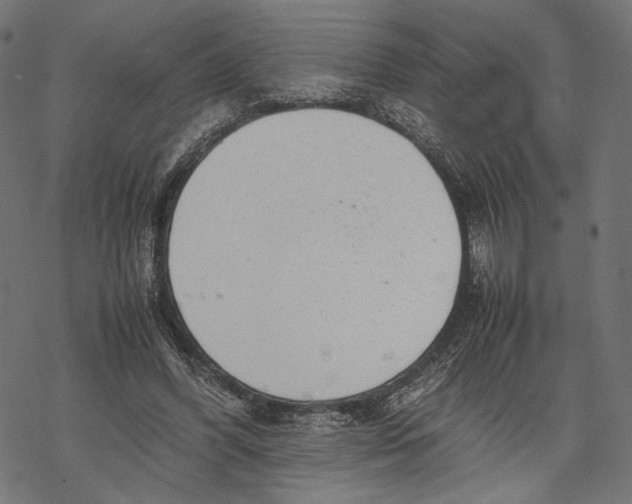 X0000067910396200605041649