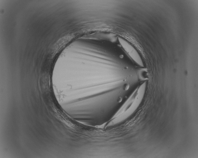 X0000067910397200605041649