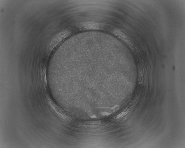 X0000067910398200605041649