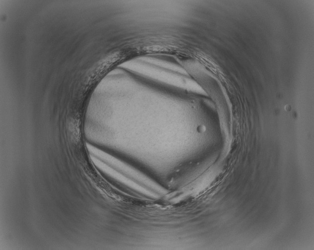 X0000067910401200605041649