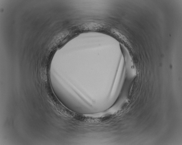 X0000067910403200605041648