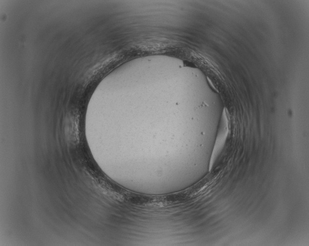 X0000067910404200605041648