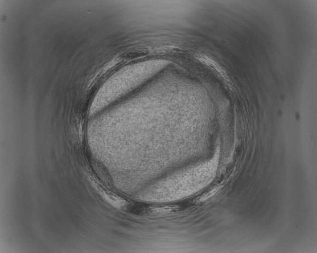 X0000067910405200605041648