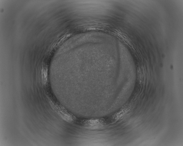 X0000067910406200605041648