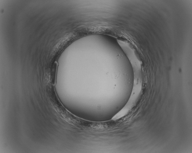 X0000067910407200605041648