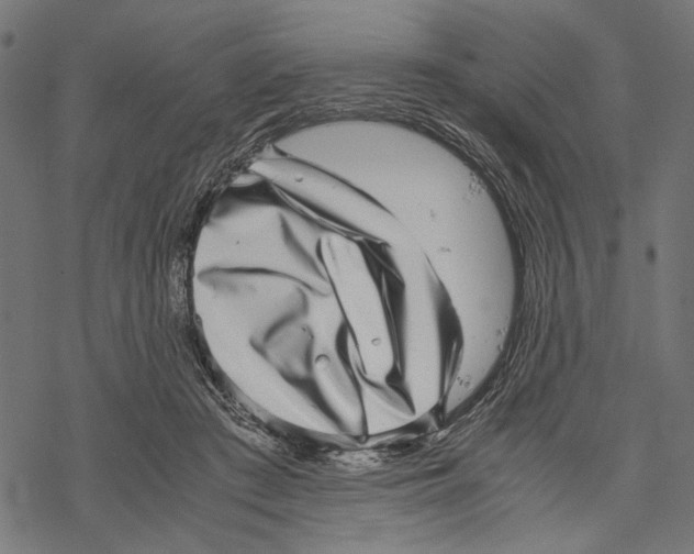 X0000067910409200605041648