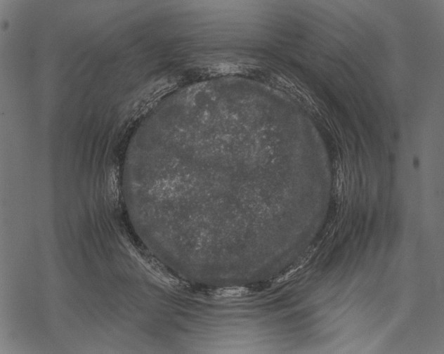 X0000067910410200605041648