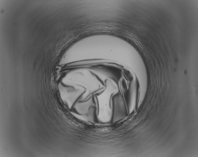 X0000067910411200605041648