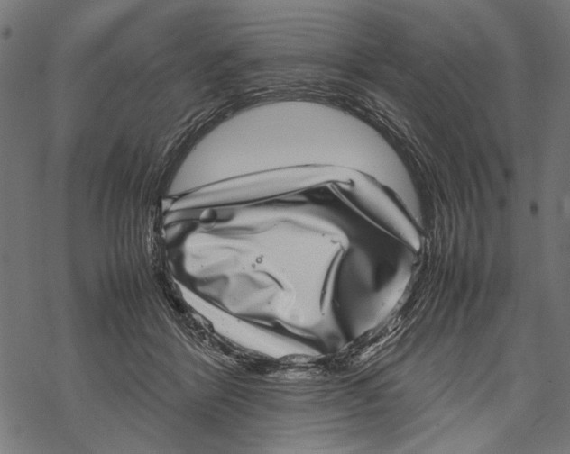 X0000067910412200605041648