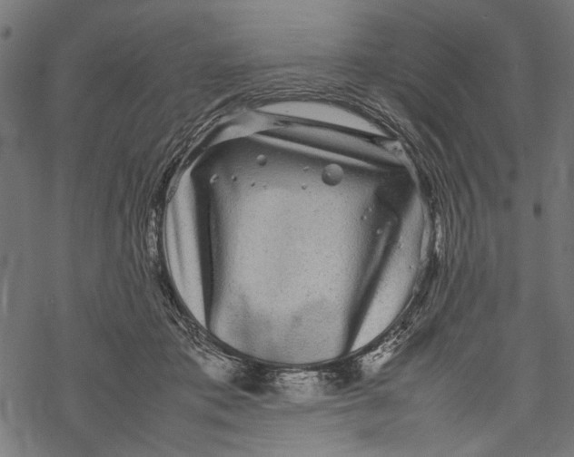 X0000067910413200605041648