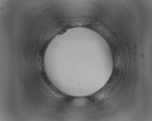 X0000067910414200605041648