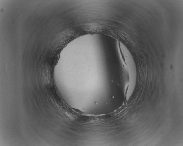 X0000067910416200605041648