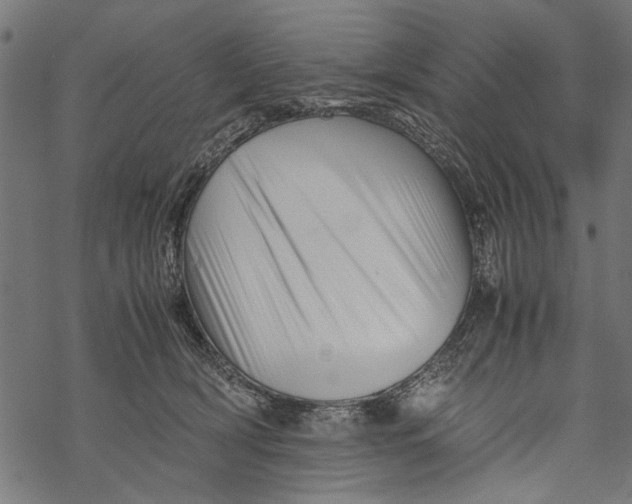 X0000067910418200605041648