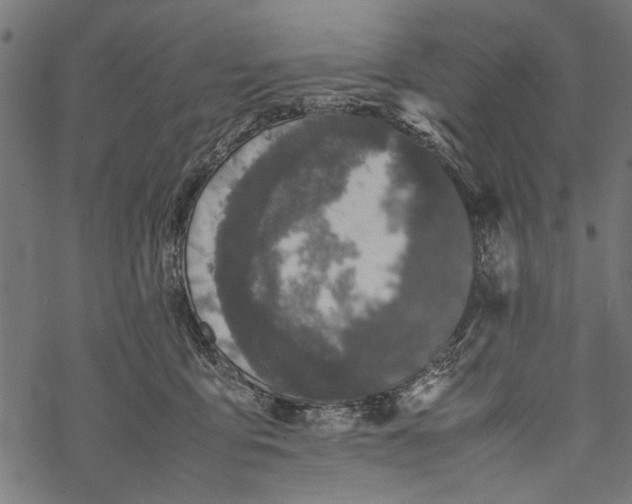 X0000067910419200605041648