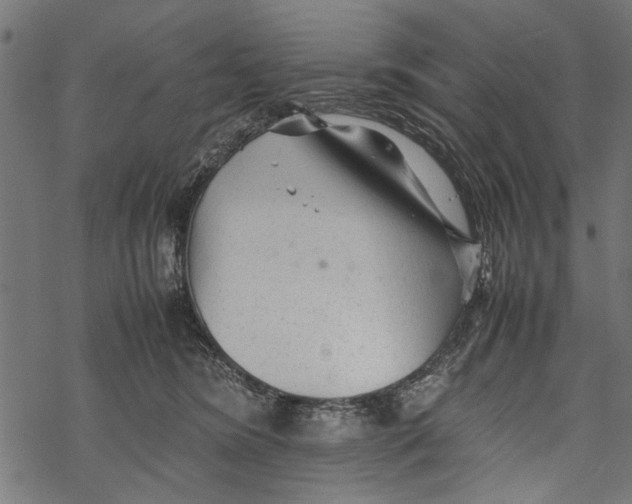 X0000067910420200605041648