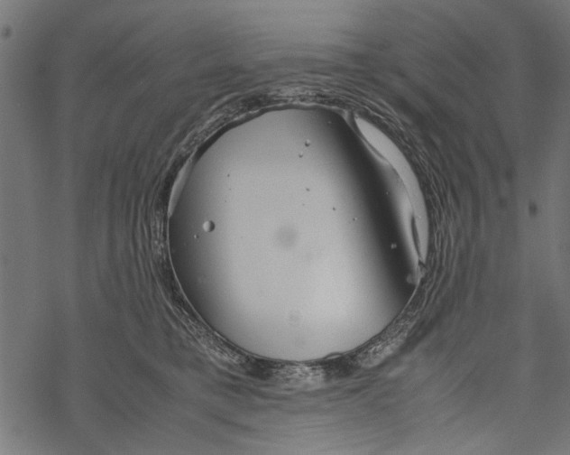 X0000067910421200605041648