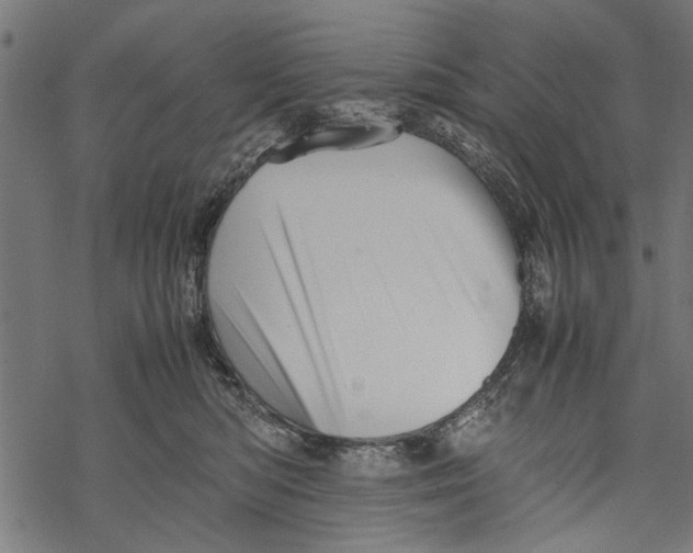 X0000067910422200605041648