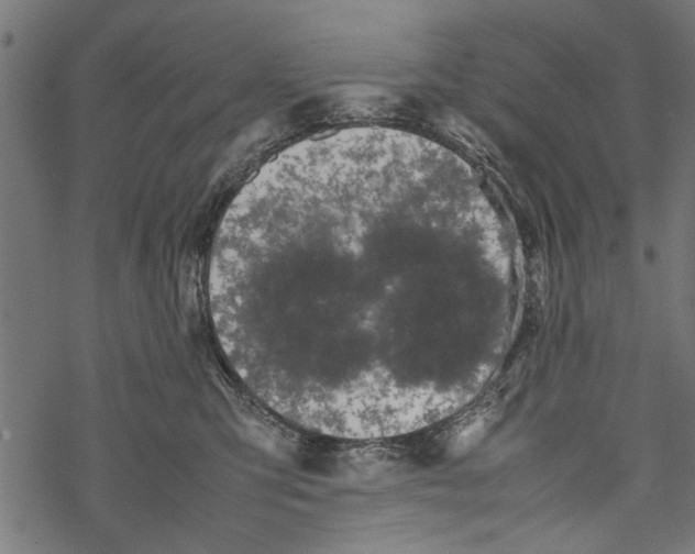 X0000067910423200605041648