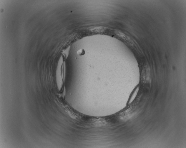 X0000067910424200605041648