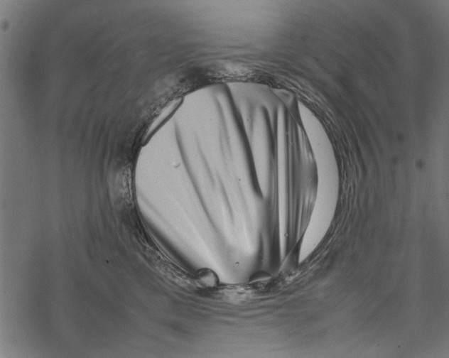 X0000067910425200605041648