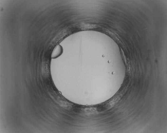 X0000067910426200605041648