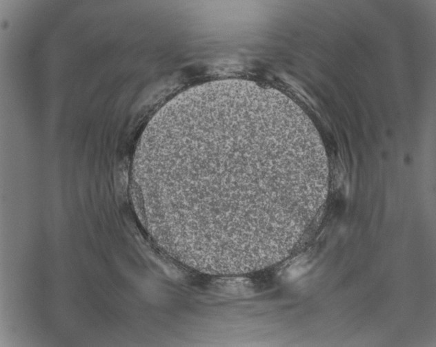 X0000067910427200605041648