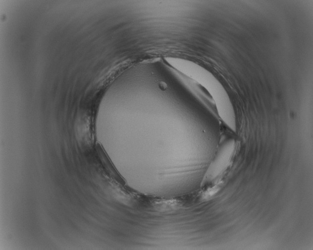 X0000067910428200605041648