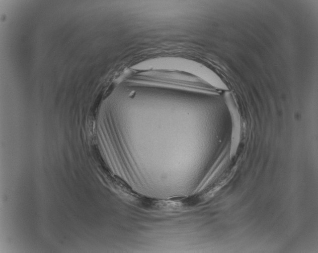 X0000067910429200605041648