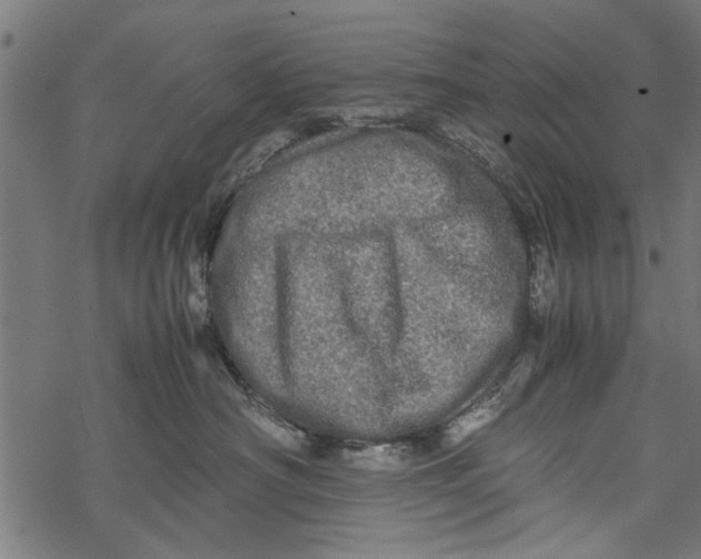 X0000067910430200605041648