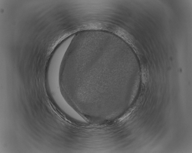 X0000067910434200605041647