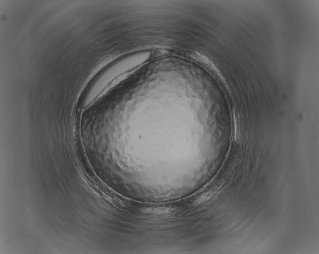 X0000067910435200605041647