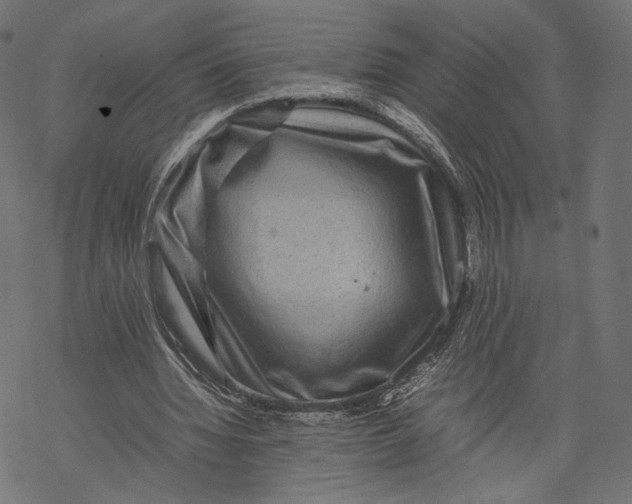 X0000067910436200605041647