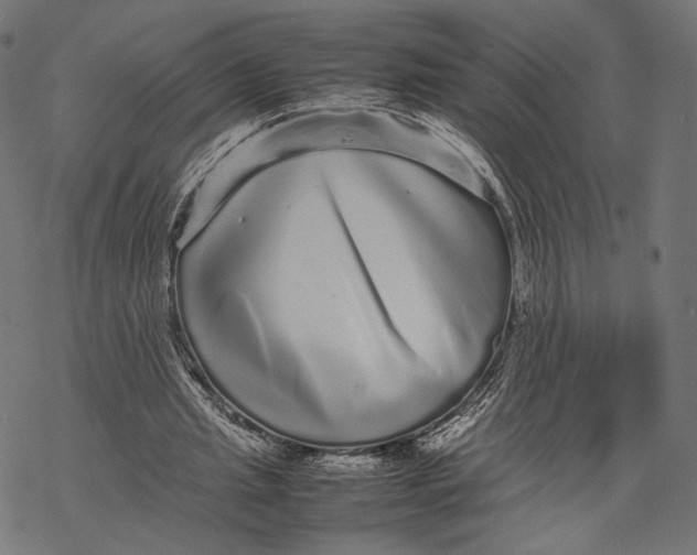 X0000067910437200605041647