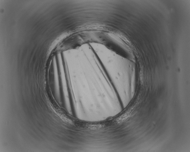 X0000067910438200605041647