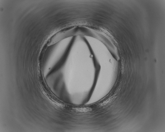 X0000067910439200605041647